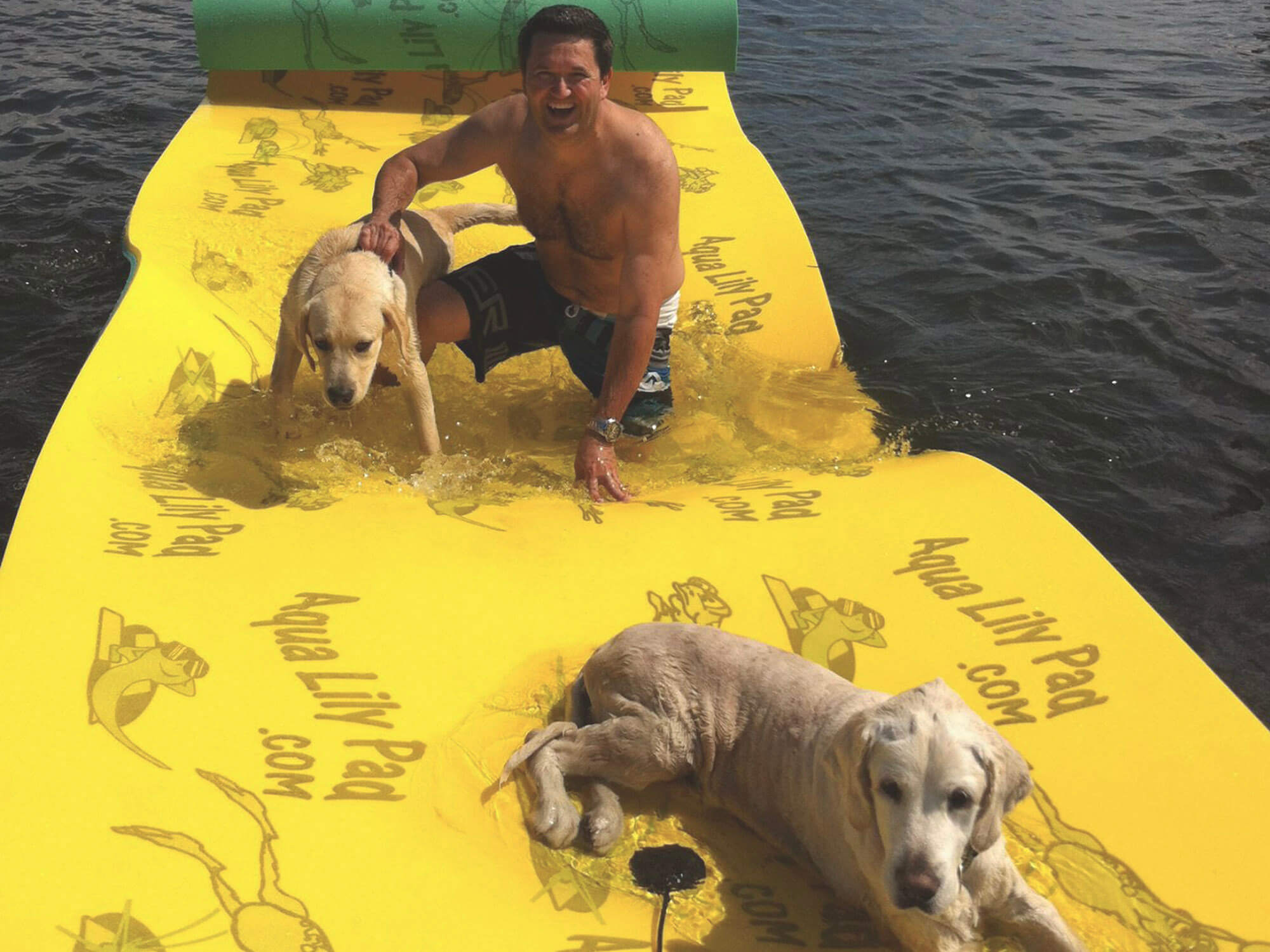 Janome Dc2013 Janome Foot Control For 3160QDC, 2160QDC, JNH 1860, DC1050 &  Others Janome Walking Foot